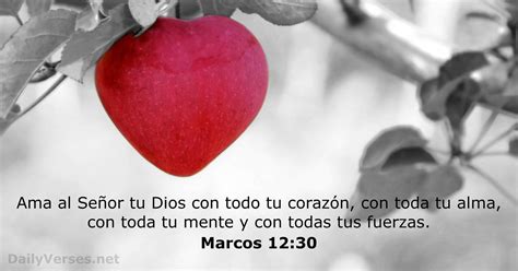 Marcos 12 SND .
